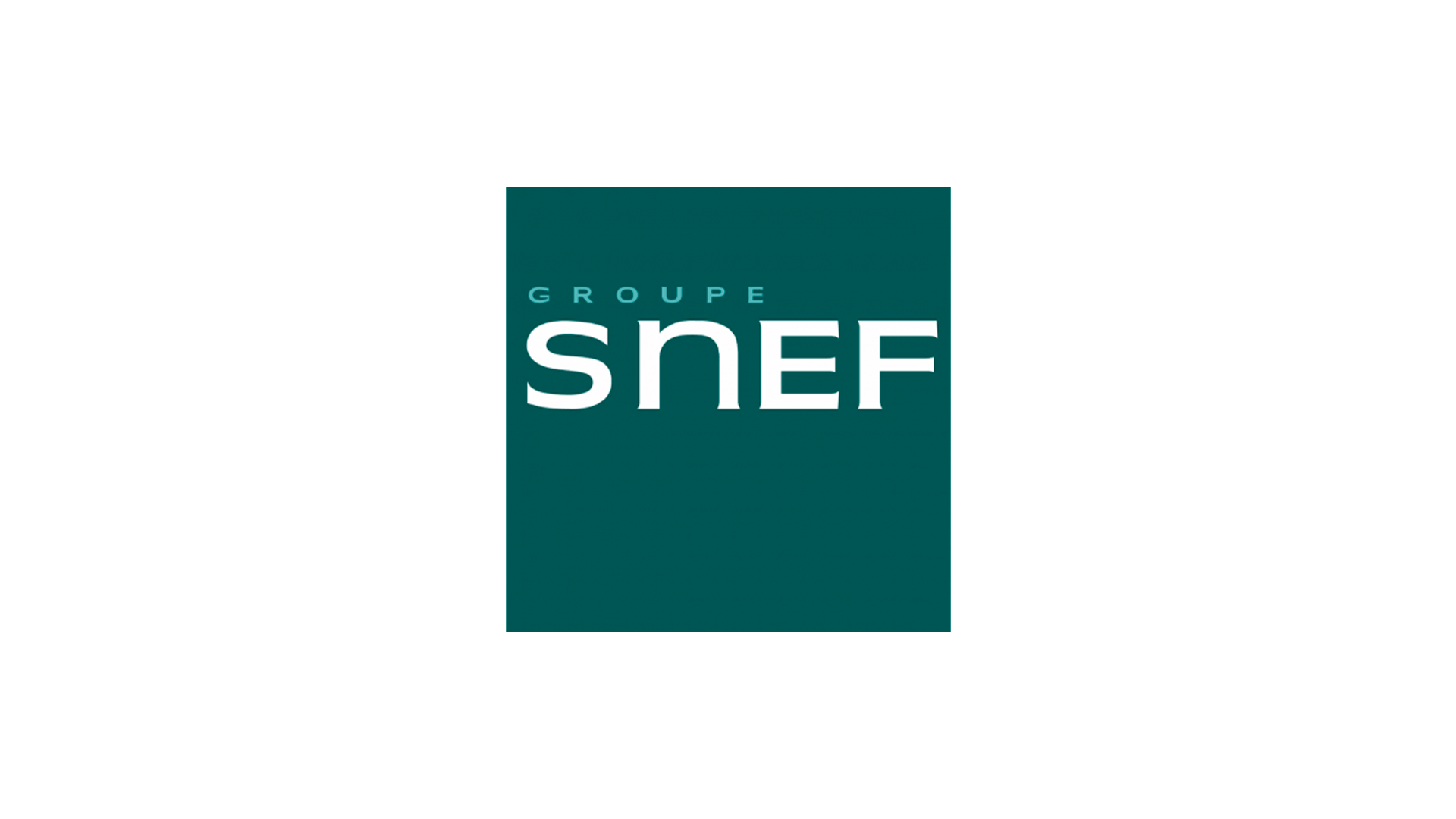 snef-logo