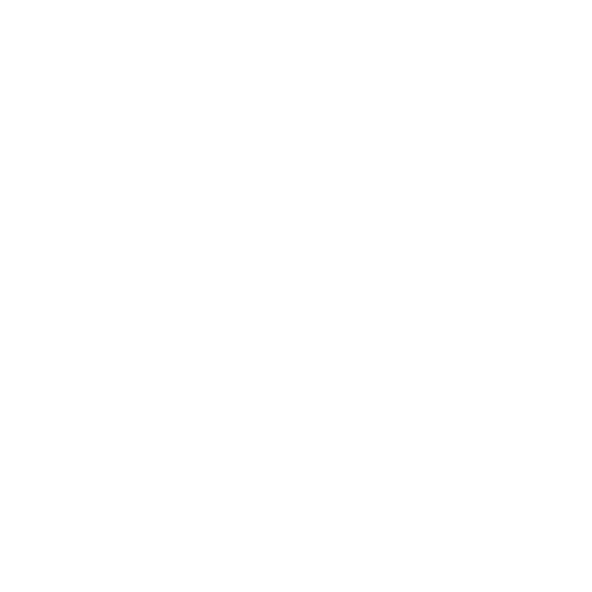 logo-FT